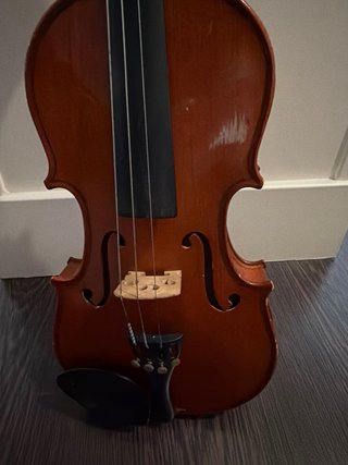 Violín Palatino 1/2 con 2 arcos y estuche