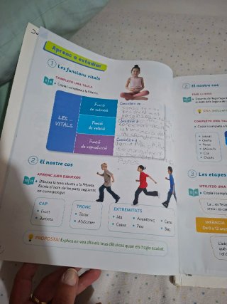 CONEIXEMENT DEL MEDI 3 PRIMARIA CONSTRUINT MONS