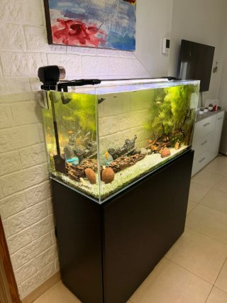 Acuario con Mueble y Decoración más depuradora,
