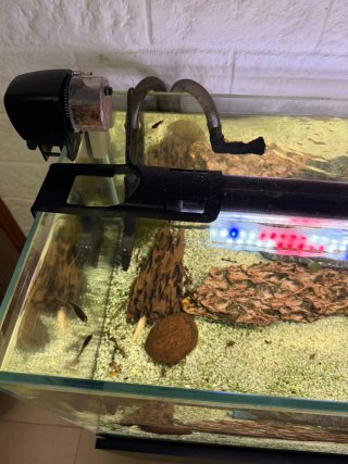 Acuario con Mueble y Decoración más depuradora,