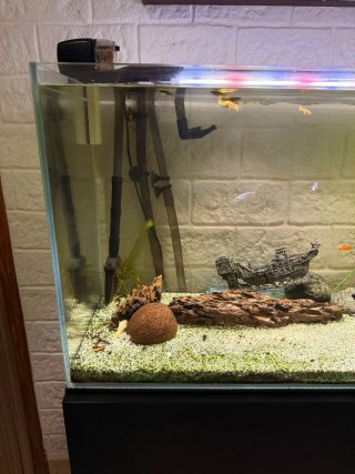 Acuario con Mueble y Decoración más depuradora,