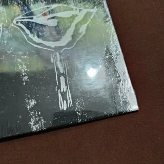 Vinile Rites of Spring