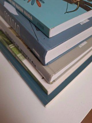 Lote cómics GUY DELISLE (5 títulos)