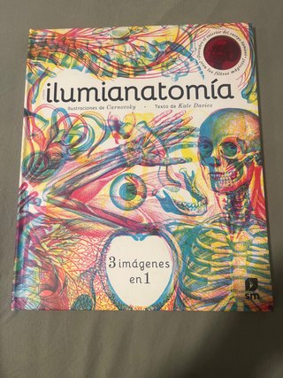 Ilumianatomía