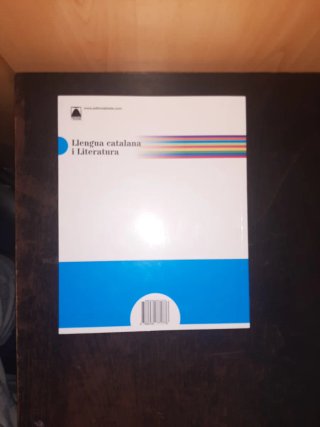 Puntal 4. Llengua catalana i Literatura 4 ESO