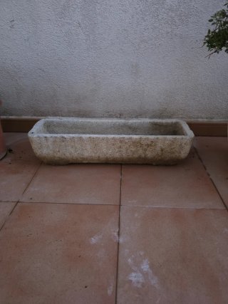 Tiesto de Piedra con Planta