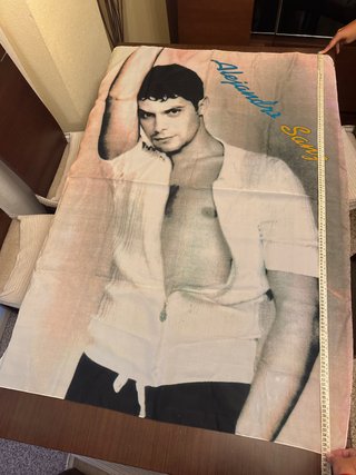 Póster Tela Alejandro Sanz