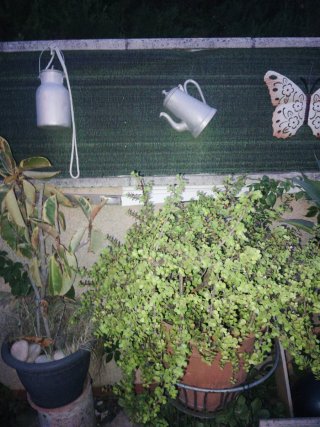 Leche e caffettiere antiche in metallo