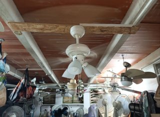 Ventilador de techo madera y blanco