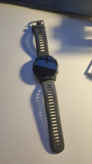 Garmin Forerunner 255 Gris
