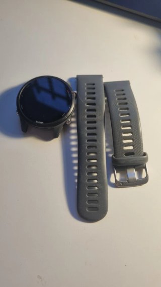 Garmin Forerunner 255 Gris