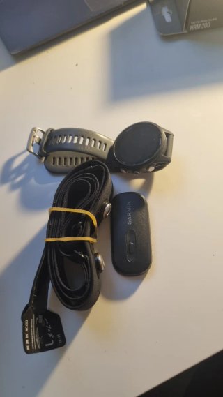 Garmin Forerunner 255 Gris