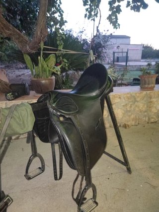 Silla de Doma Clásica Stübben