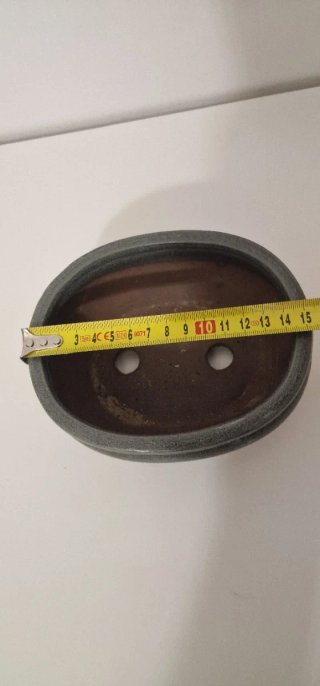 Maceta para Bonsái