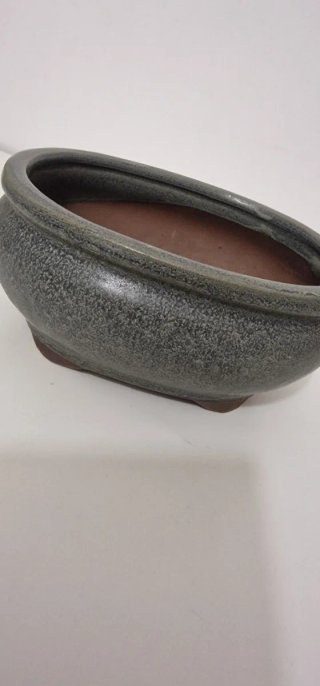 Maceta para Bonsái