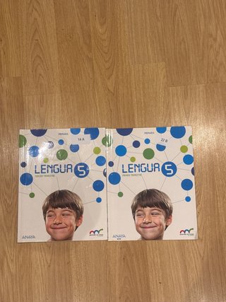 2 libros de lengua de quinto de primaria