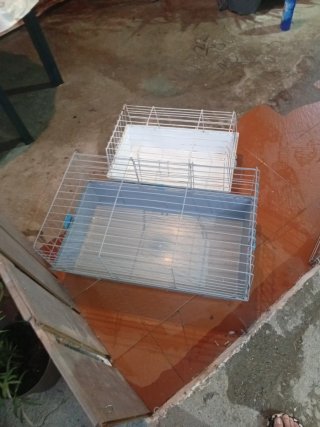 Jaula para conejo o cobaya