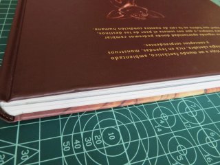TAXUS, LA HISTORIA COMPLETA - Isaac Sánchez