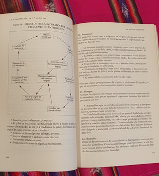 La alimentación, la tercera medicina