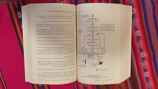 La alimentación, la tercera medicina