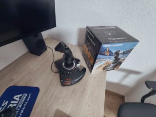 Thrustmaster Flight Stick X y Acelerador Sol R6.
