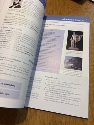 Lengua castellana y literatura 4 ESO : código a...