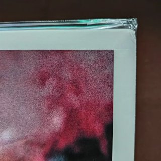 Distaste - Agoniepositur Vinile