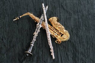 Clases de flauta y Saxofon a domicilio