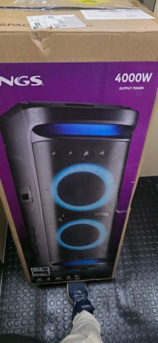 Altavoz NGS Wild Space 3 4000W