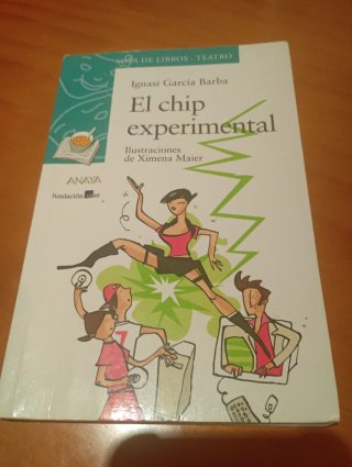 El chip experimental