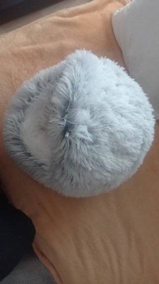 Cama Redonda para Mascota,si es para recoger mejor