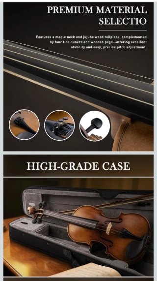 Violín 4/4 SONICAKE con funda y arco