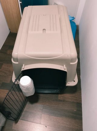Transportín de Viaje para Perros XL