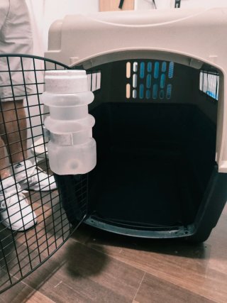 Transportín de Viaje para Perros XL