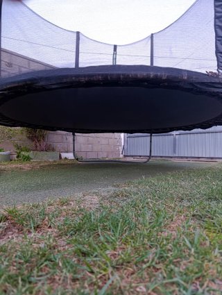Cama elástica negra y verde