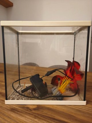 Pecera de plástico con accesorios