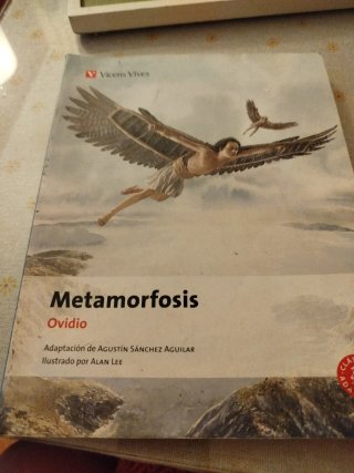 14. Metamorfosis