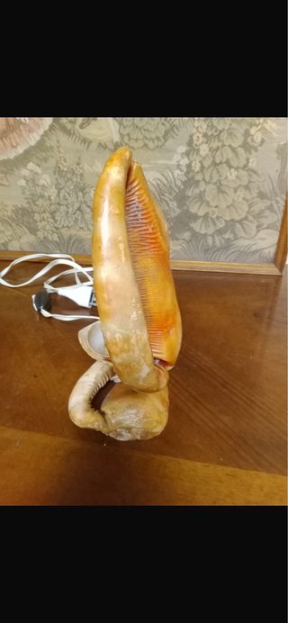 Lampada conchiglia religiosa vintage