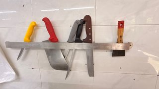 Picadora de Carne Profesional Fama