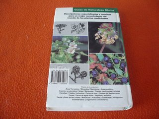 PLANTAS MEDICINALES BAYAS VERDURAS SILVESTRES GUIA