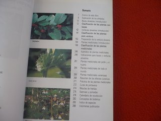 PLANTAS MEDICINALES BAYAS VERDURAS SILVESTRES GUIA