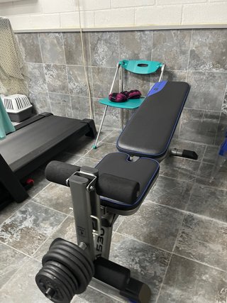 Banco de musculación con pesas