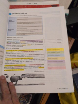 Lengua castellana y literatura 1 Secundaria