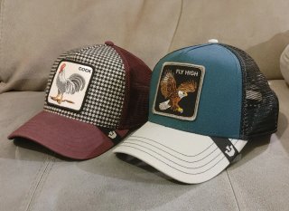 2 Gorras Goorin Bros. "Fly High" y "Cock"