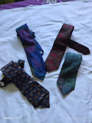 Lote de 4 corbatas estampadas