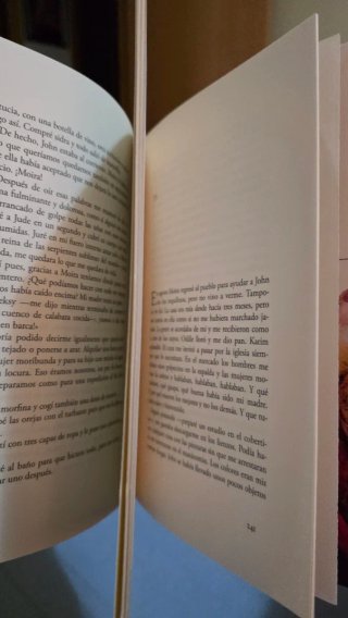 El verano en que mi madre tuvo los ojos verdes