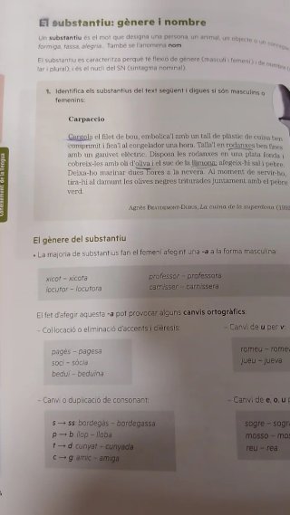 Puntal 1. Llengua catalana i Literatura 1 ESO