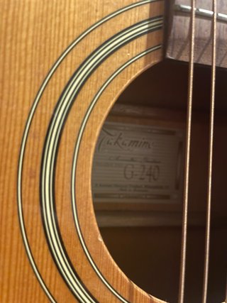 Guitarra Acústica Takamine con funda Tobago