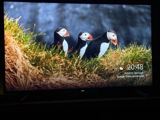 Televisor Sony Bravia 55 pulgadas