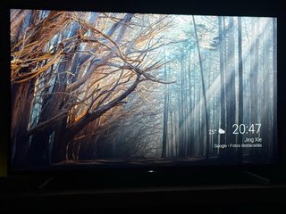 Televisor Sony Bravia 55 pulgadas